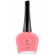 Esmalte Masglo Salon
