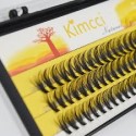 PESTAÑAS KIMCCI